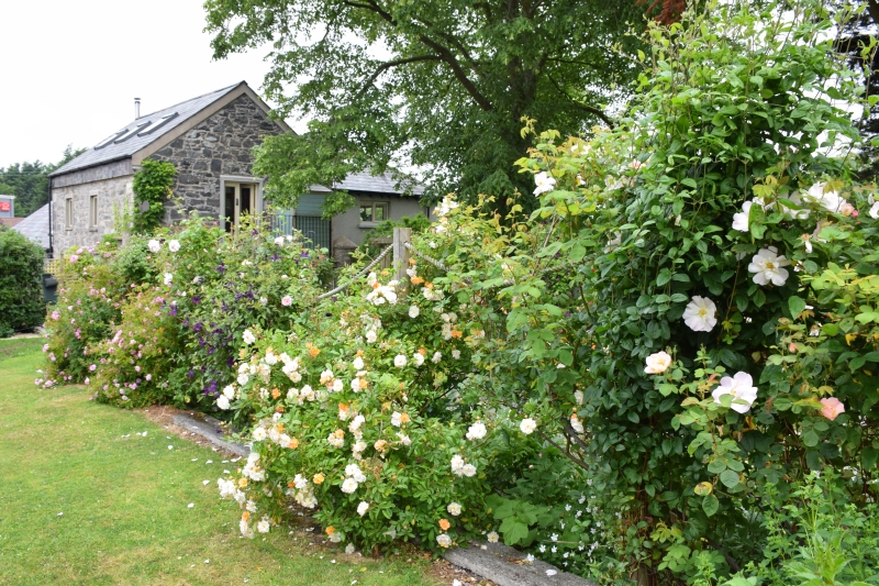 Old Balloo House & Barn